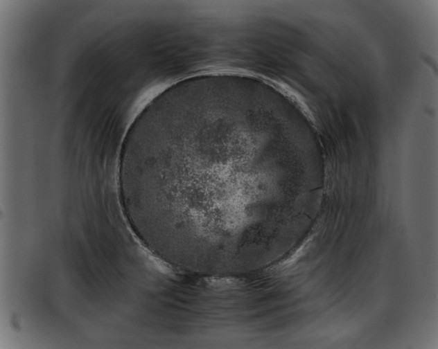 X0000096731231200802121307