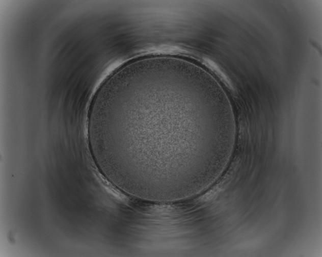 X0000096731232200802121307