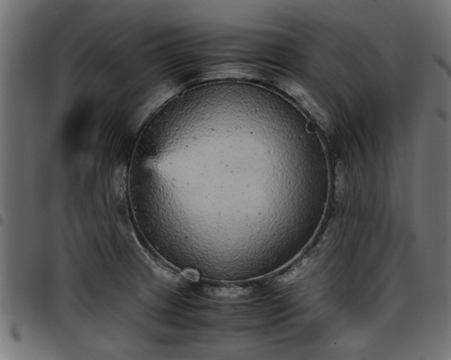 X0000096731233200802121307