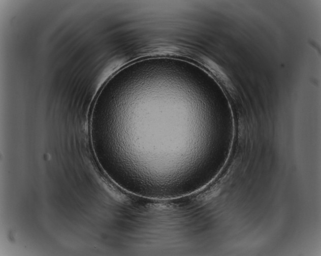 X0000096731234200802121307