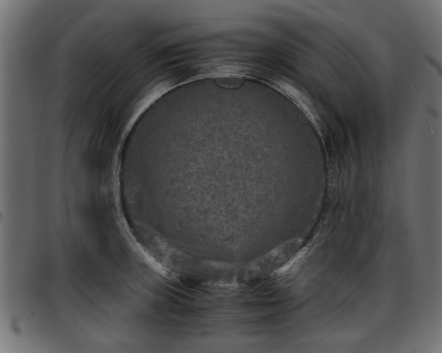 X0000096731235200802121307