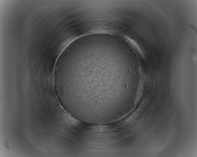X0000096731236200802121307