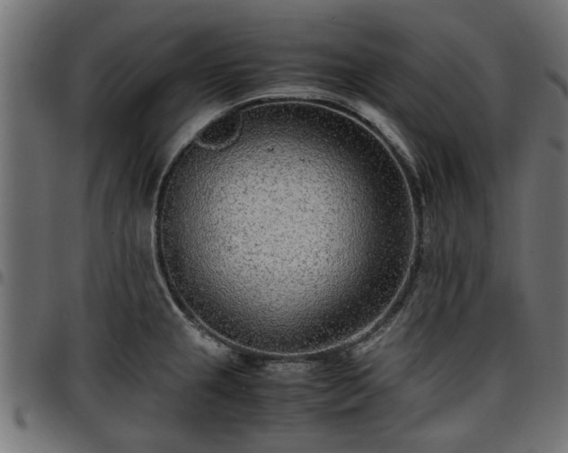X0000096731237200802121307