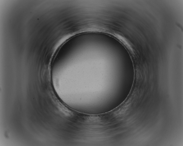 X0000096731238200802121307