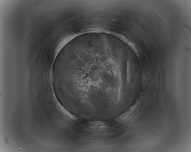 X0000096731239200802121307