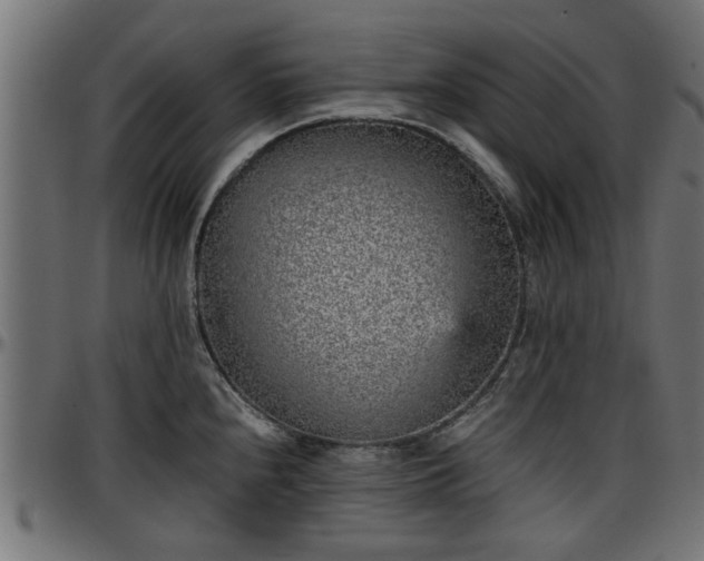 X0000096731240200802121307