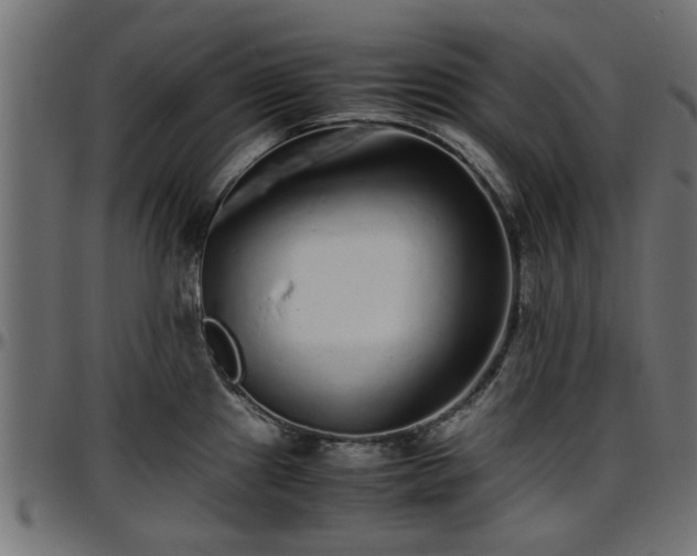 X0000096731241200802121307