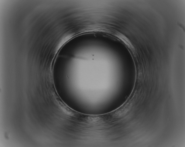 X0000096731242200802121307