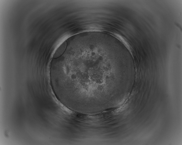 X0000096731243200802121307