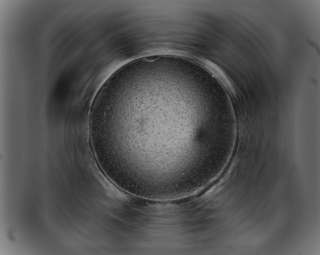 X0000096731244200802121307
