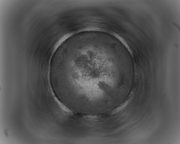 X0000096731245200802121307