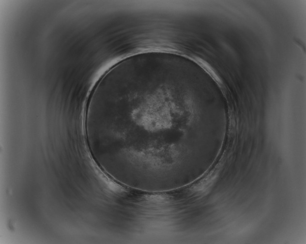 X0000096731246200802121307