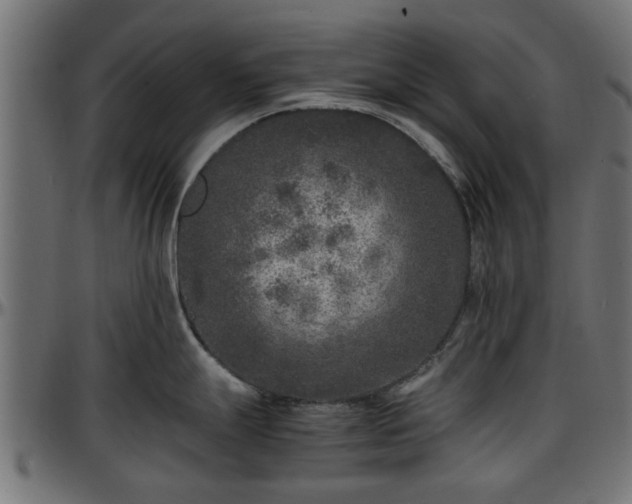 X0000096731247200802121307