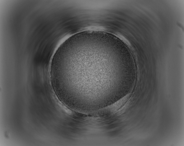 X0000096731248200802121307