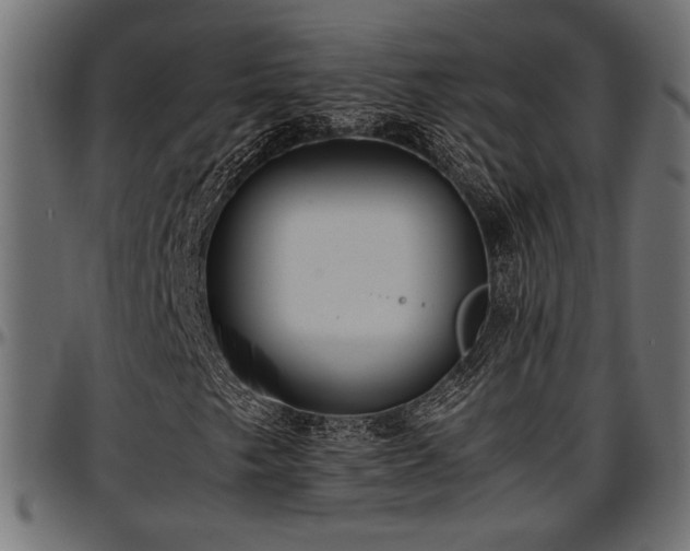 X0000096731249200802121306