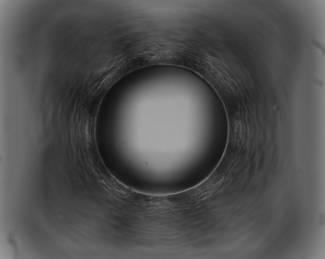 X0000096731250200802121306