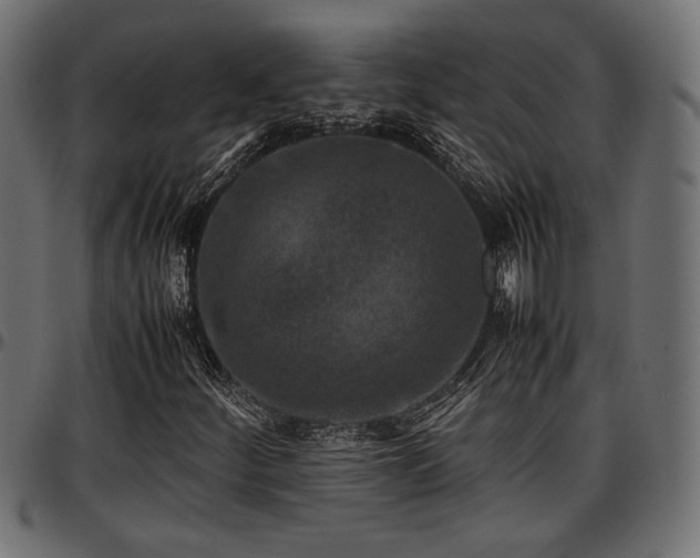 X0000096731252200802121306