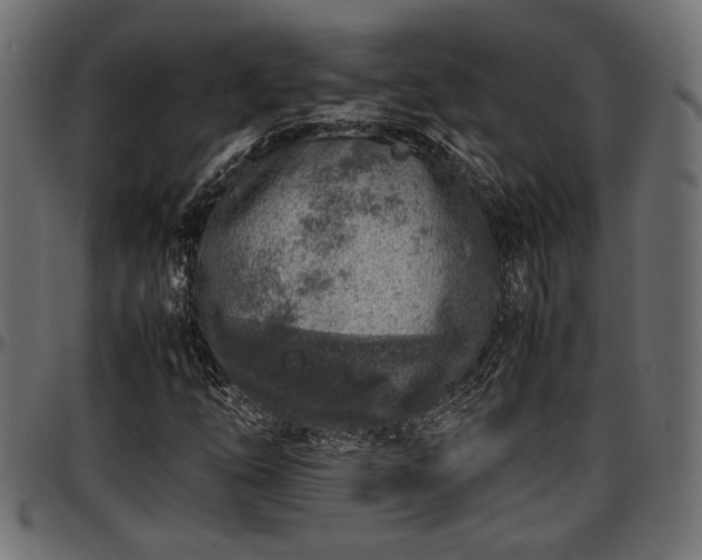 X0000096731254200802121306