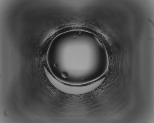 X0000096731255200802121306