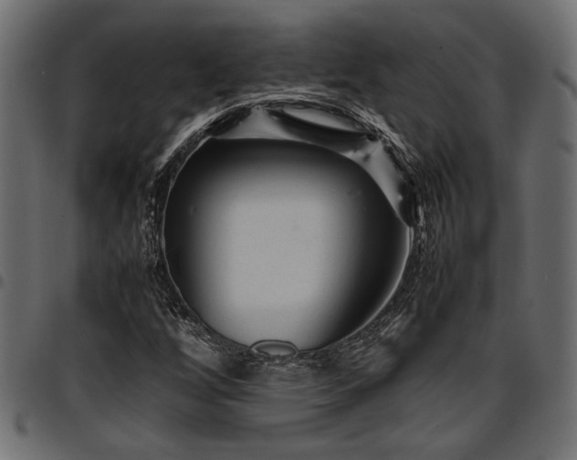 X0000096731256200802121306