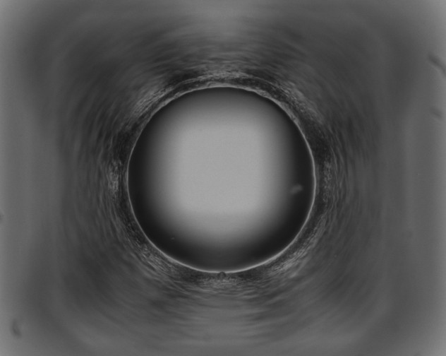 X0000096731257200802121306