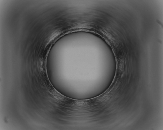 X0000096731258200802121306