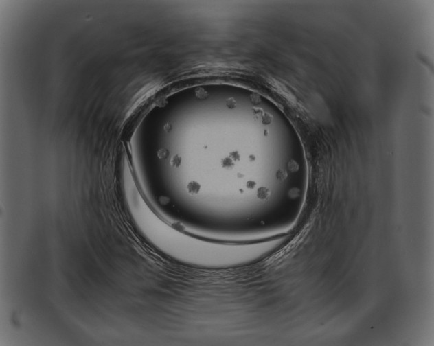 X0000096731259200802121306