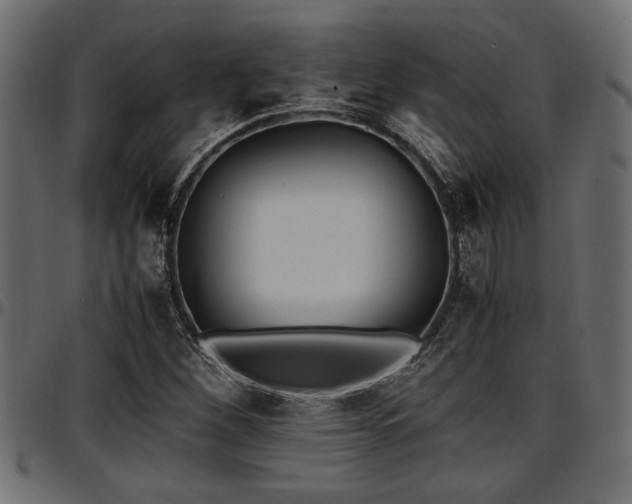 X0000096731260200802121306