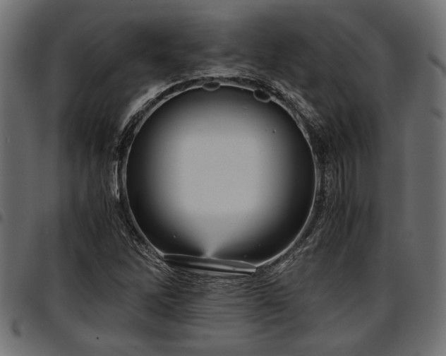 X0000096731262200802121306
