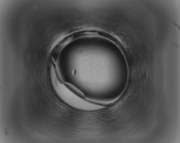 X0000096731263200802121306