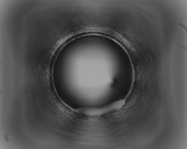 X0000096731264200802121306