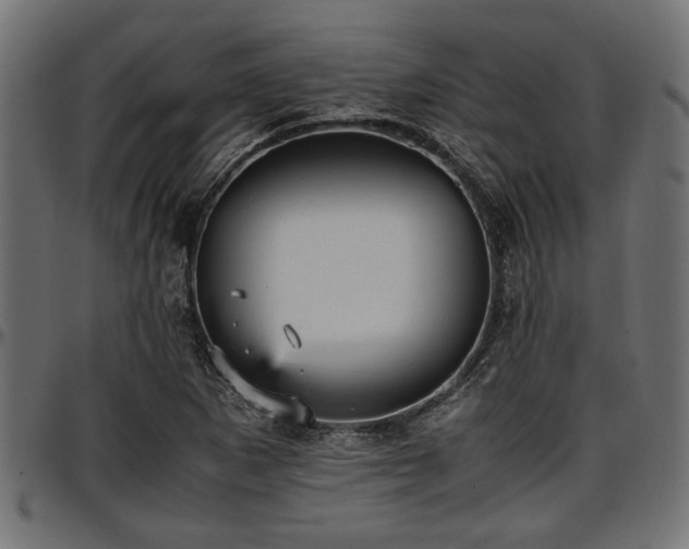 X0000096731265200802121306