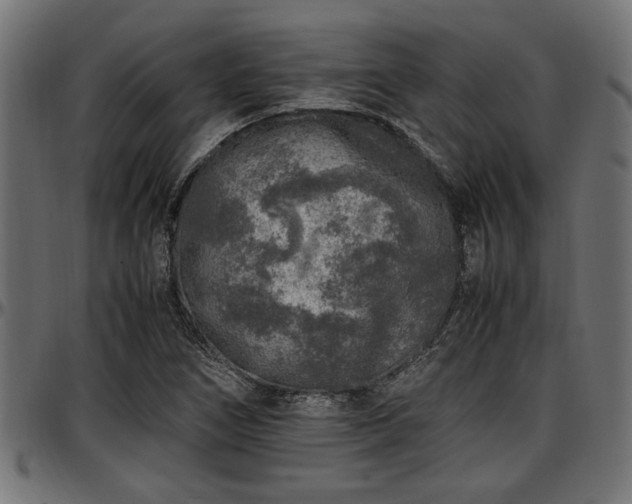 X0000096731266200802121306