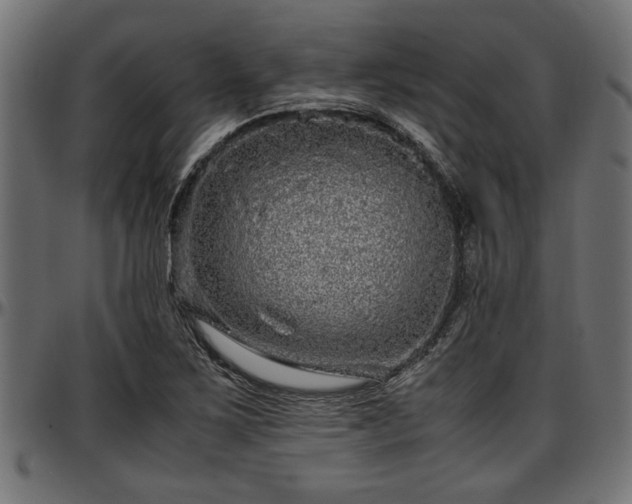 X0000096731267200802121306