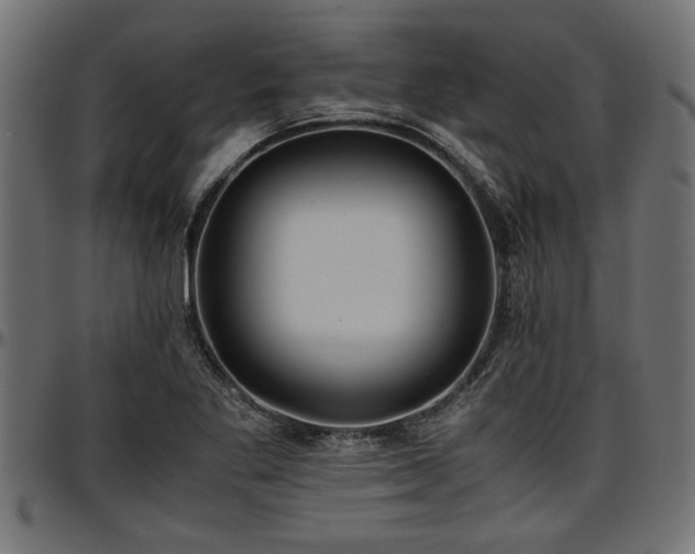 X0000096731269200802121306