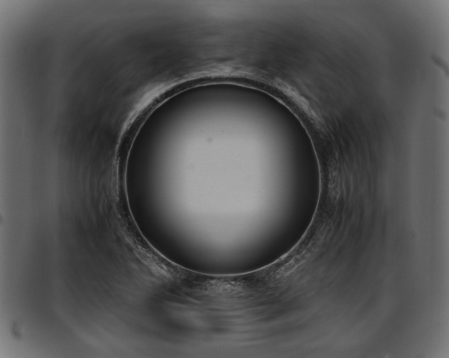 X0000096731270200802121306