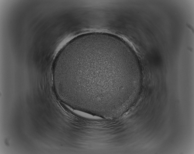 X0000096731271200802121306