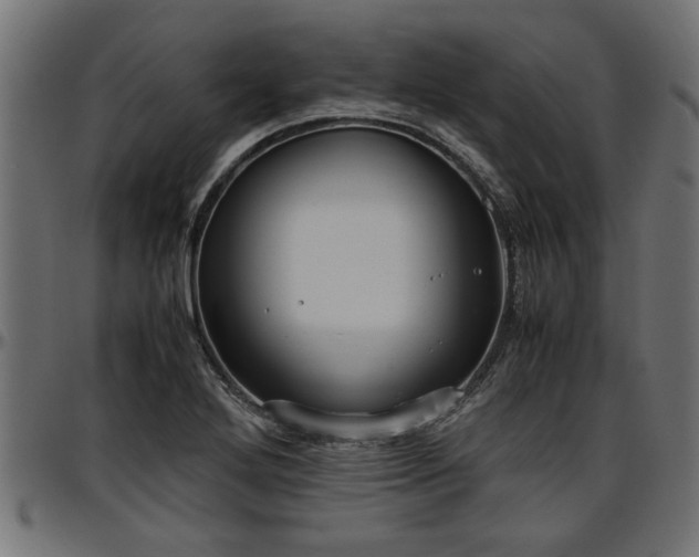 X0000096731272200802121306