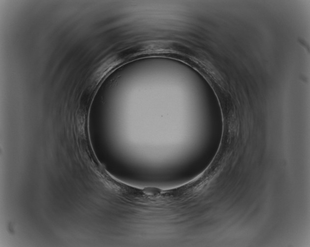 X0000096731273200802121306