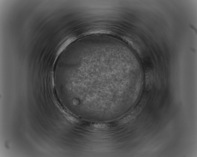 X0000096731274200802121306