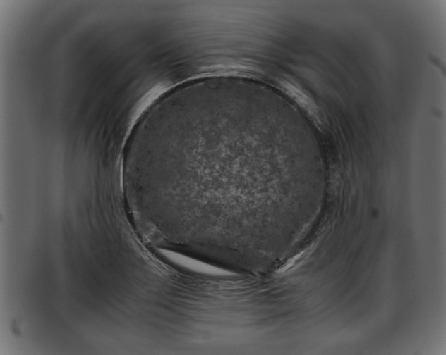 X0000096731275200802121306