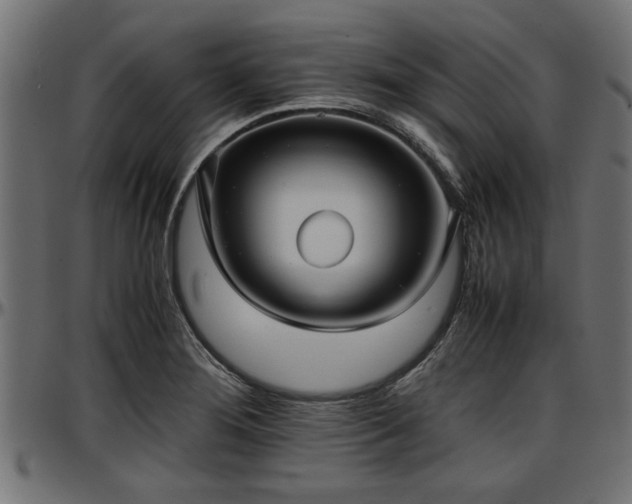 X0000096731276200802121305
