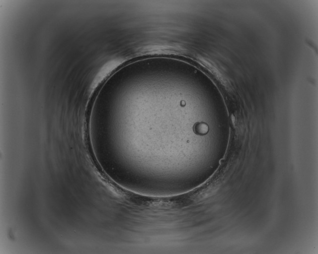 X0000096731277200802121305