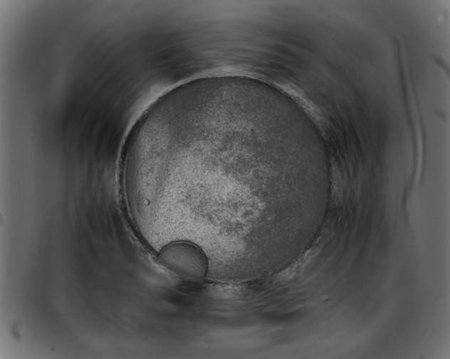 X0000096731278200802121305
