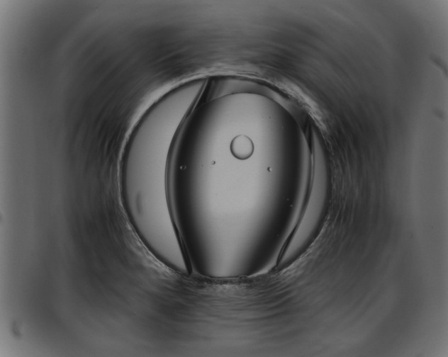 X0000096731280200802121305
