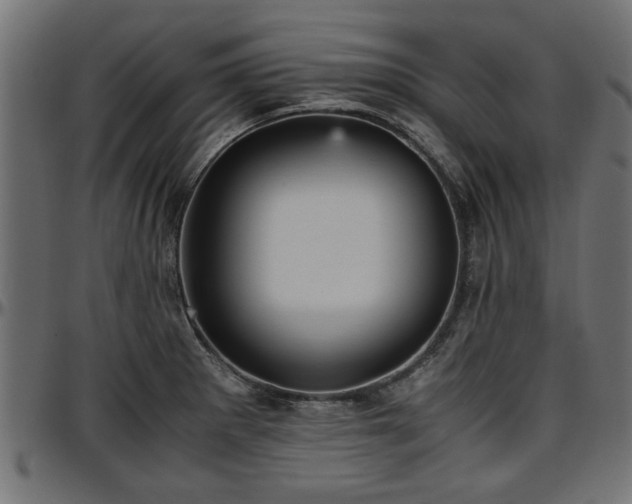 X0000096731281200802121305