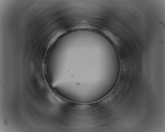 X0000096731282200802121305