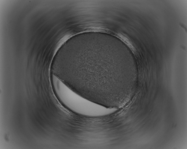 X0000096731283200802121305