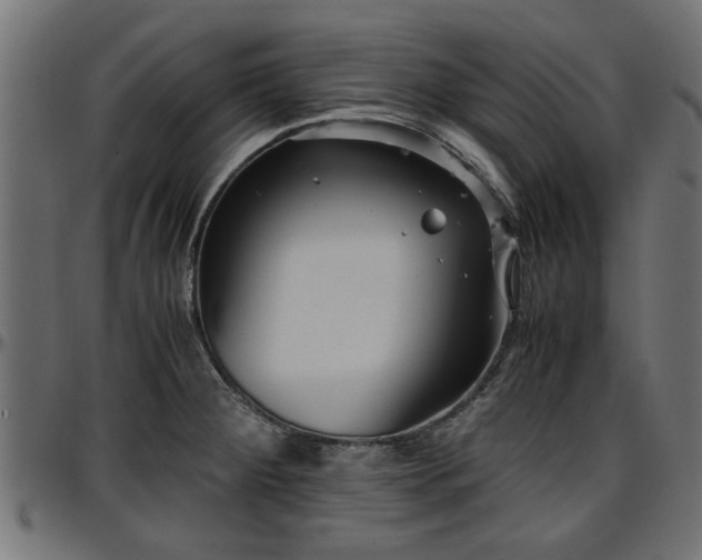 X0000096731284200802121305