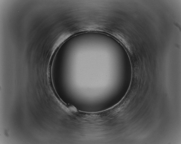 X0000096731285200802121305
